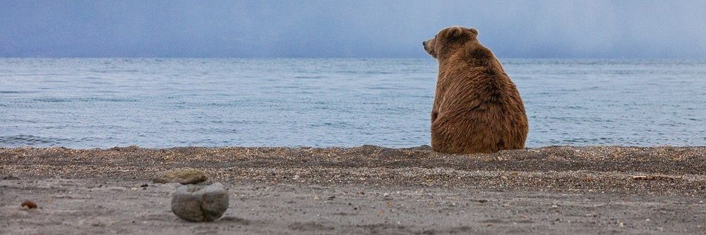 Kinnardo's profile banner image