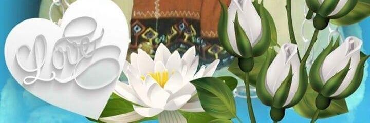 zibuan's profile banner image
