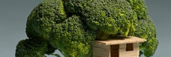 zeepcs Profile Banner