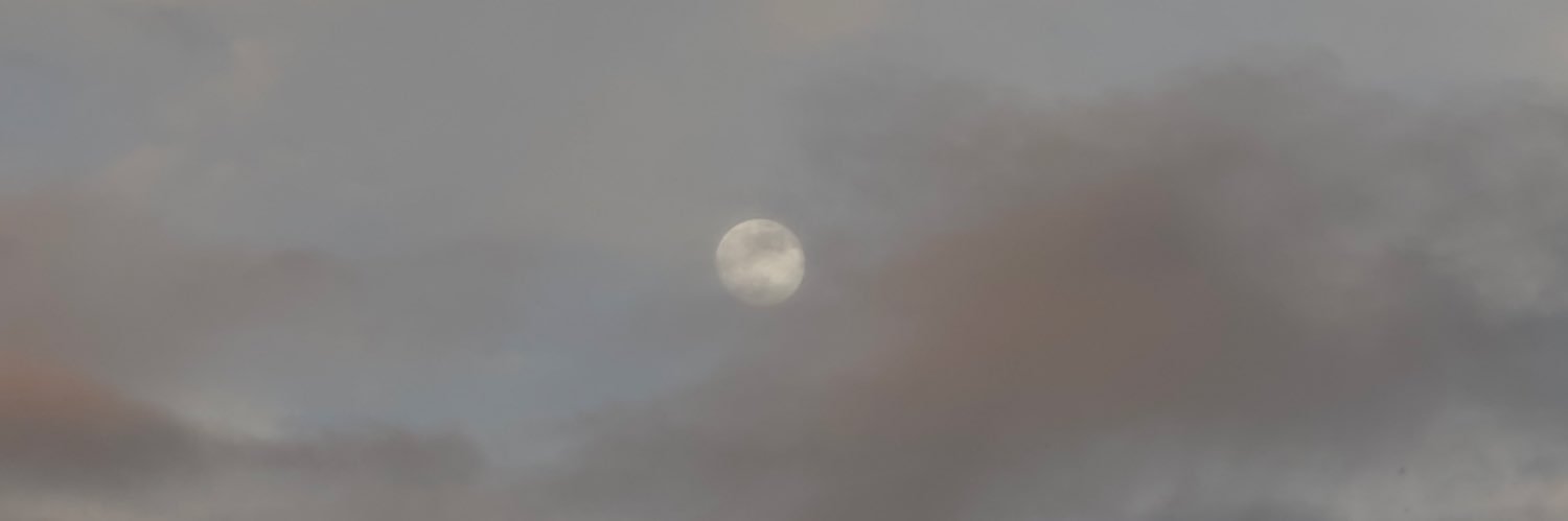 hxiley's profile banner image