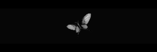DaughterGhoul's profile banner image