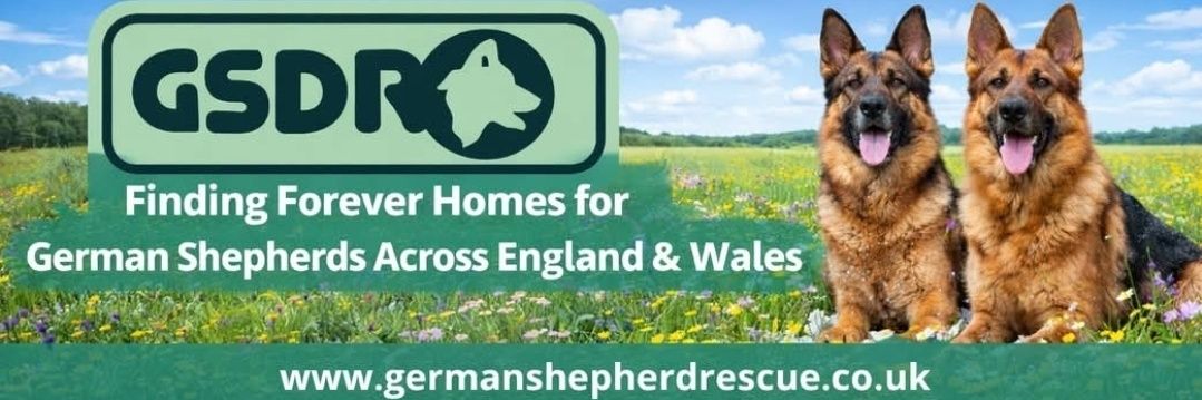 German Shepherd Dog Rescue UK 🇬🇧 banner