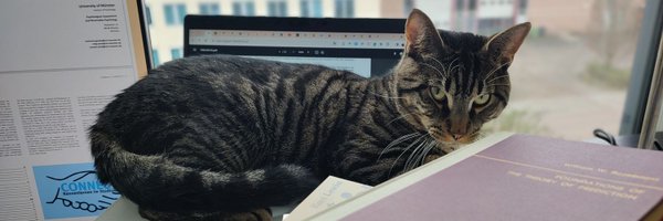 _psyguy Profile Banner