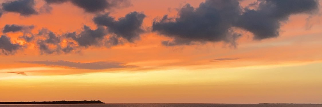 gab banner