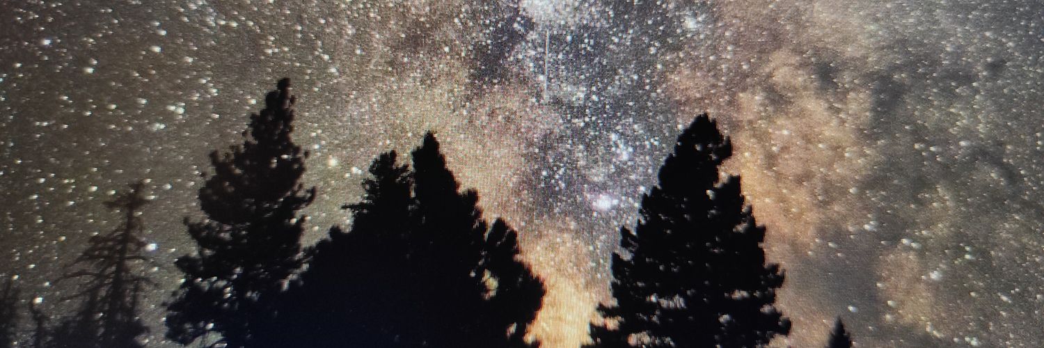🍀یک علی جون ساده banner