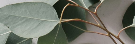 ♡ banner