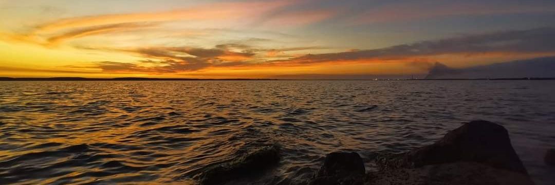 fernandaruelas's profile banner image
