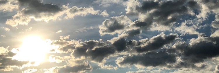 mui_nikon's profile banner image