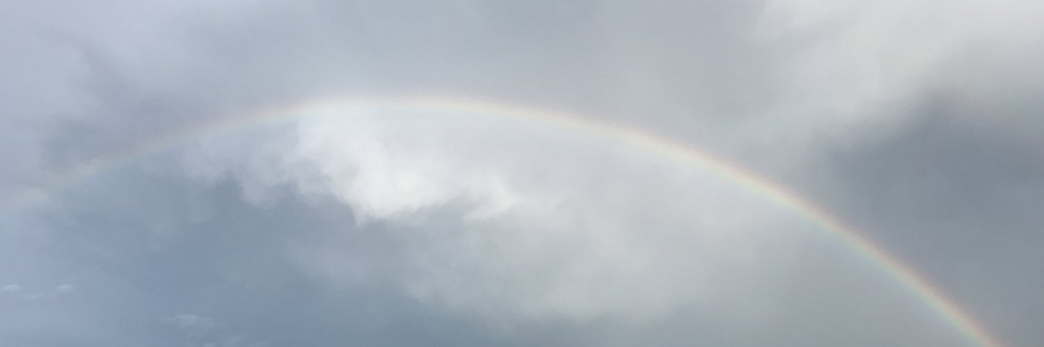 drmpm03's profile banner image