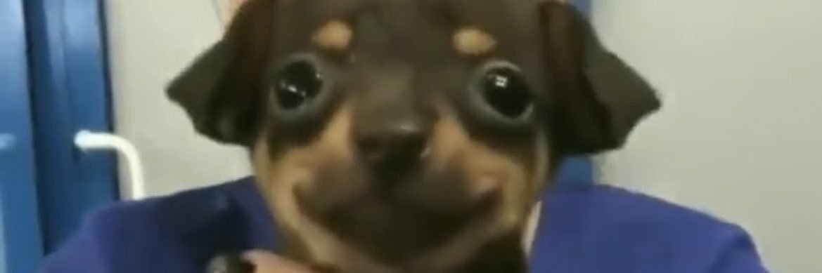 rodveldt's profile banner image