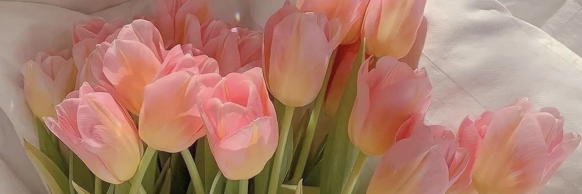 ✿𝘤𝘦́𝘭𝘪𝘢₊ banner