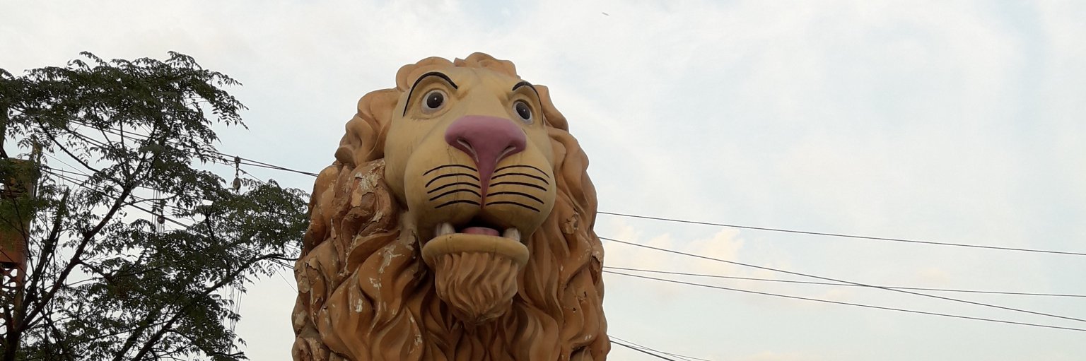 muditkapoorer's profile banner image