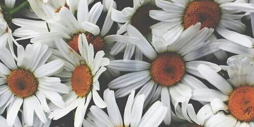 _foreverthem's profile banner image