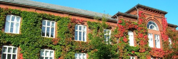 FrancescaFardo Profile Banner