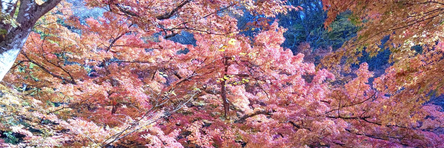 izuhoda's profile banner image