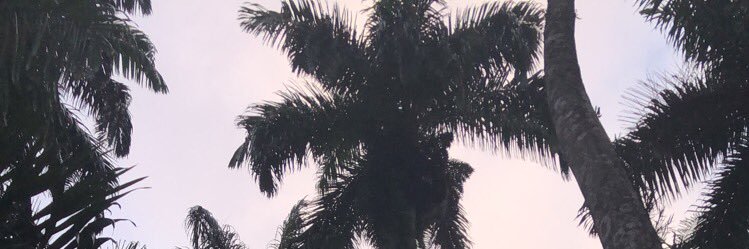 Gyal97three's profile banner image