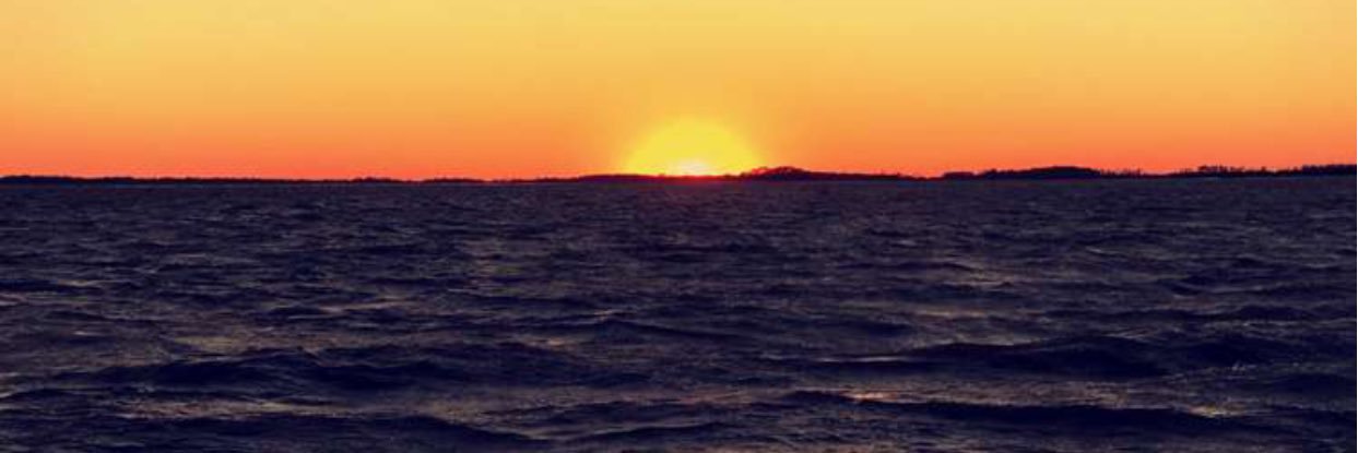 sammydaniels4's profile banner image