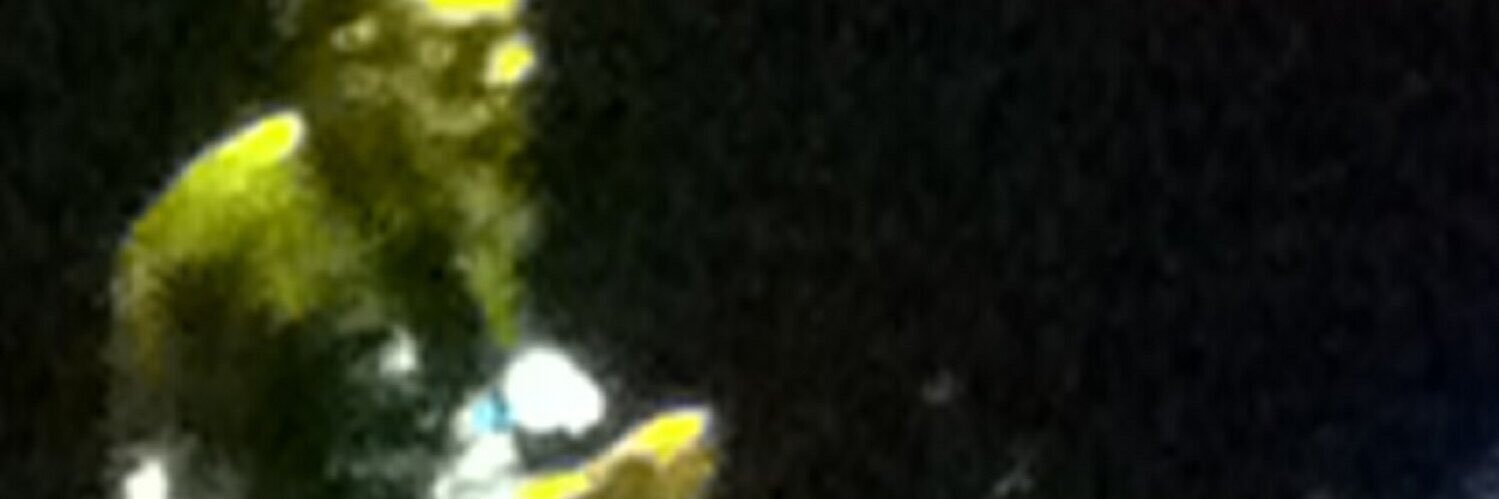 gnmpi's profile banner image