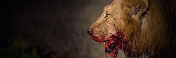 real_og74's profile banner image