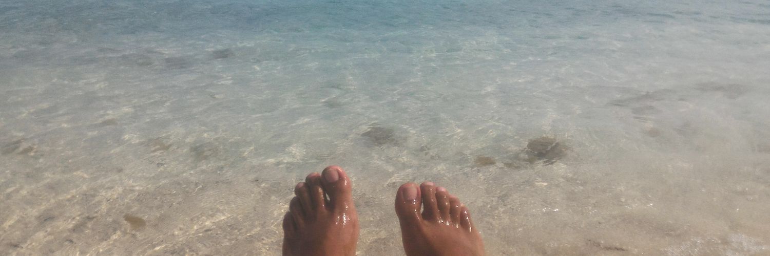 Farandi Agesti R banner