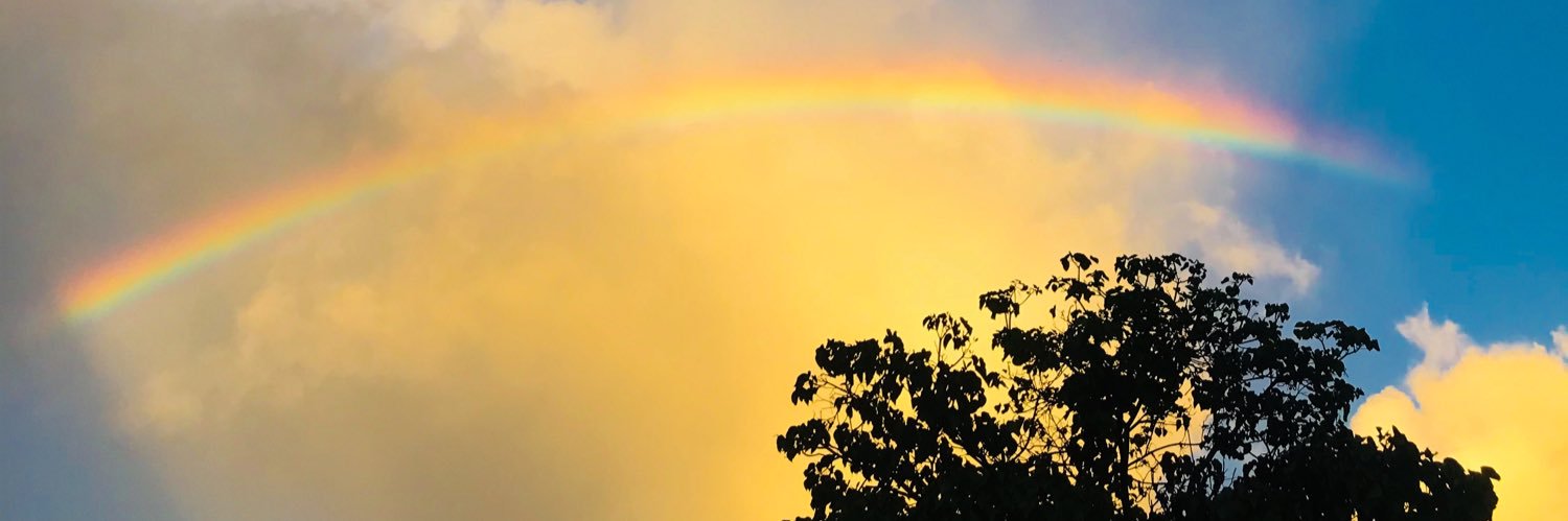 xthly_'s profile banner image