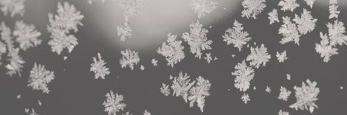 ≼star≽ banner