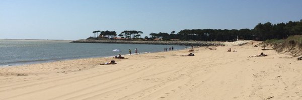 Sinhk Profile Banner