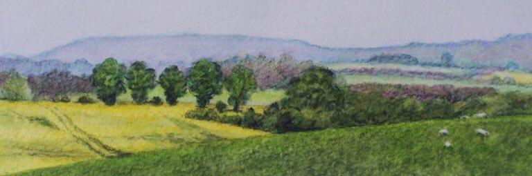 Andy Zermanski banner