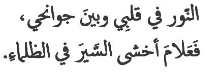 nour banner