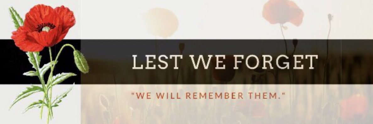 Diddly Squat ⭐️⭐️🖤 banner