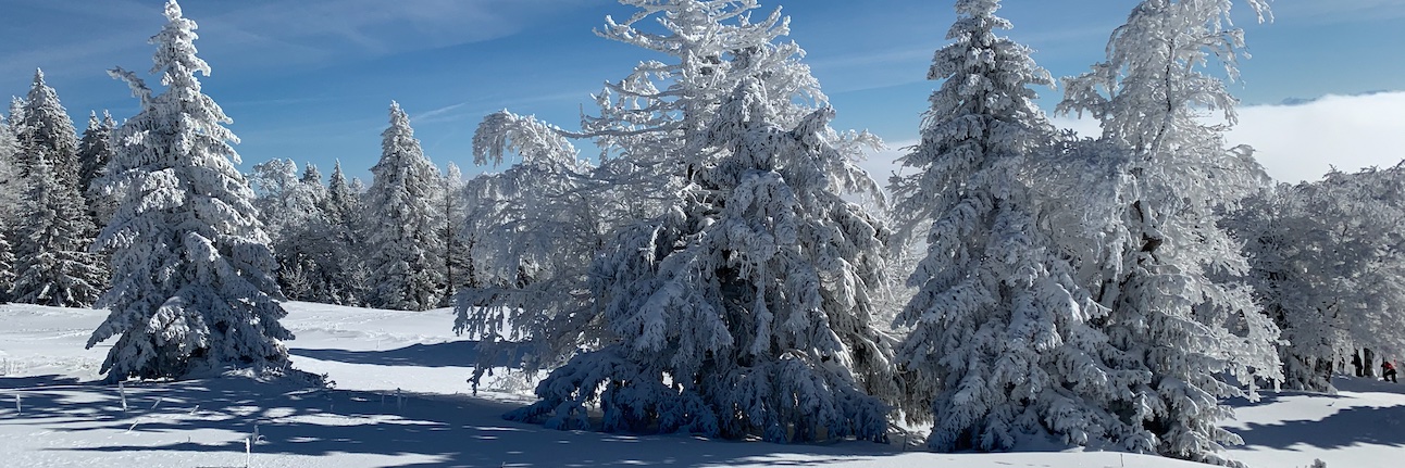 Olivier 🇺🇦 banner