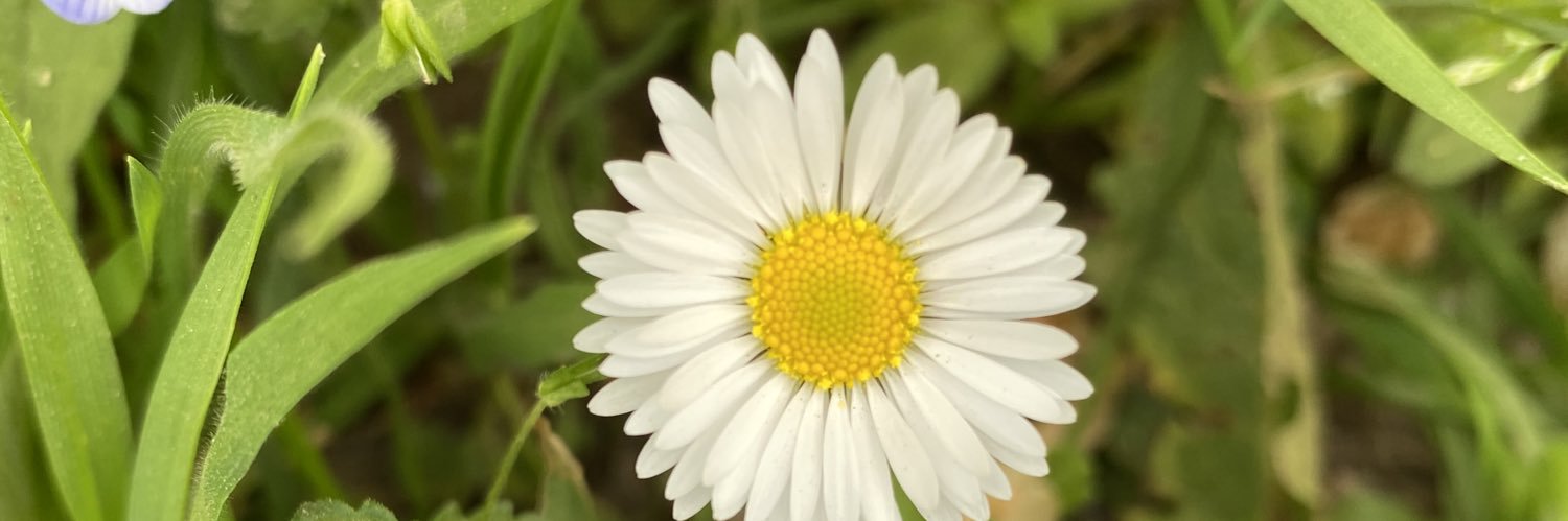 pasqualerusso57's profile banner image