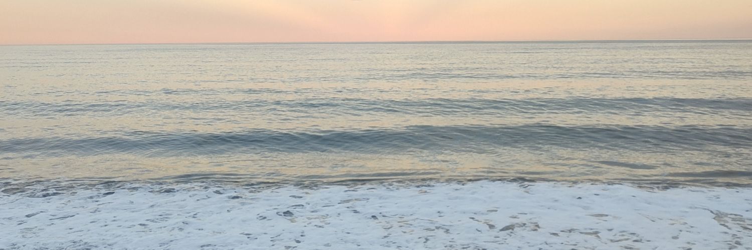 EveMadeiraa's profile banner image