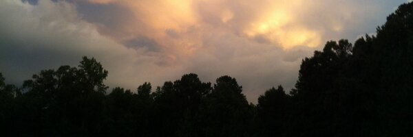 seththebot Profile Banner