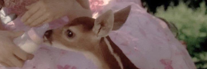 ꒰აLambie🍼⚢໒꒱'s banner