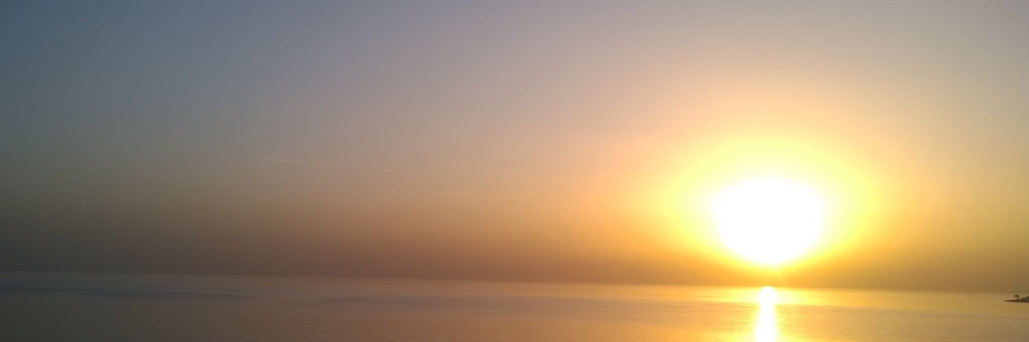 AaliyahFarouk's profile banner image