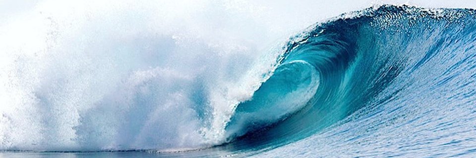 CryptoSurf3's profile banner image