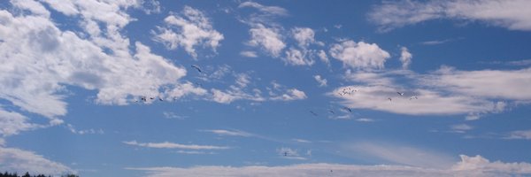 LauraKanost Profile Banner