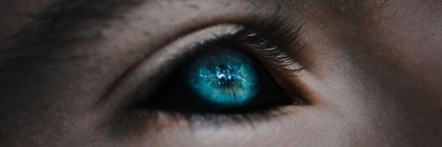 Alexand55462406's profile banner image