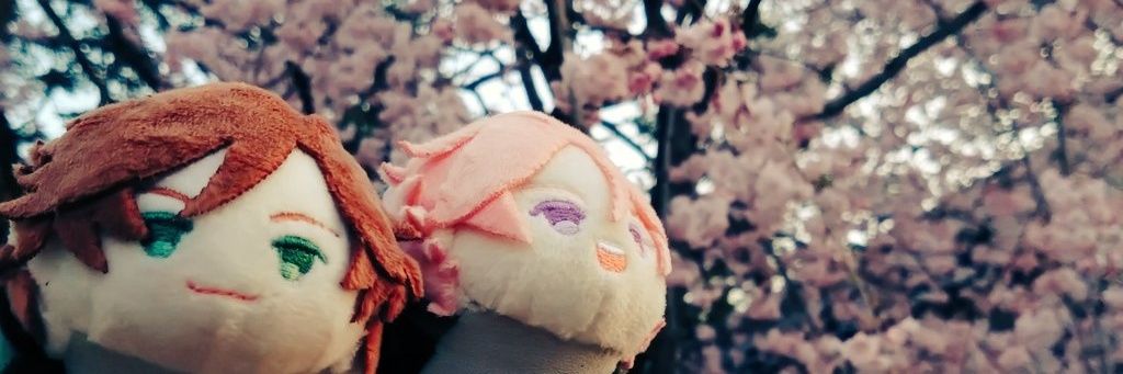 t0nnb0's profile banner image