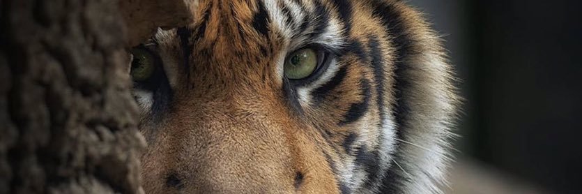 m3_kal's profile banner image