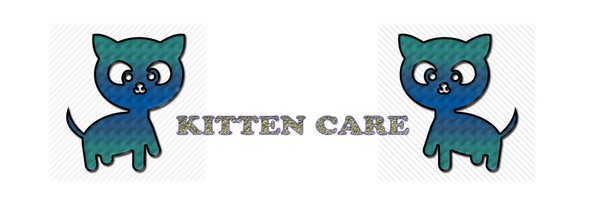 kitten Care Profile Banner