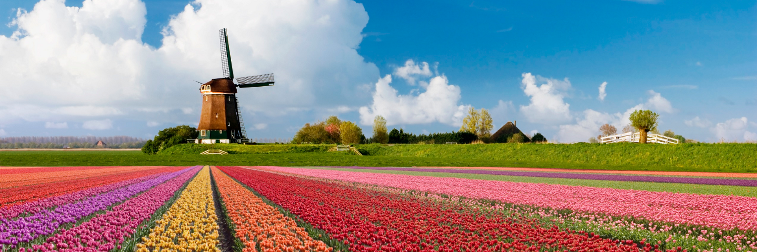 Great Rail Journeys banner