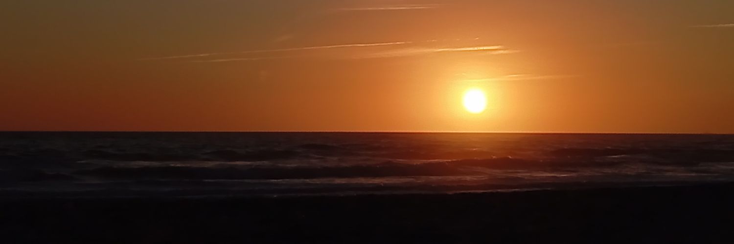 sofiadlv05's profile banner image