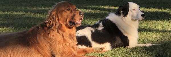 WmDeanFrench Profile Banner