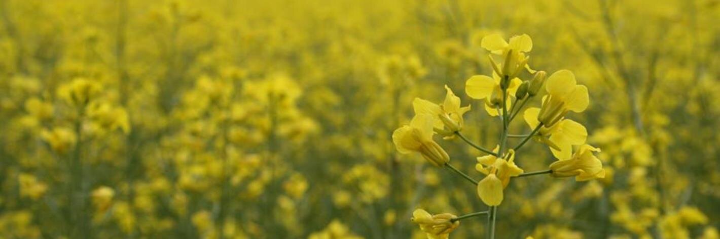 heathermokeefe's profile banner image