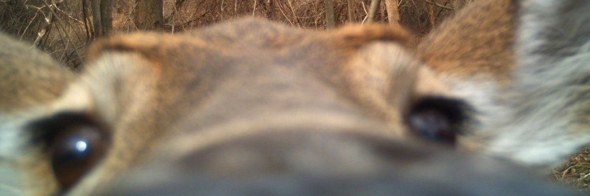 Marta27_'s profile banner image