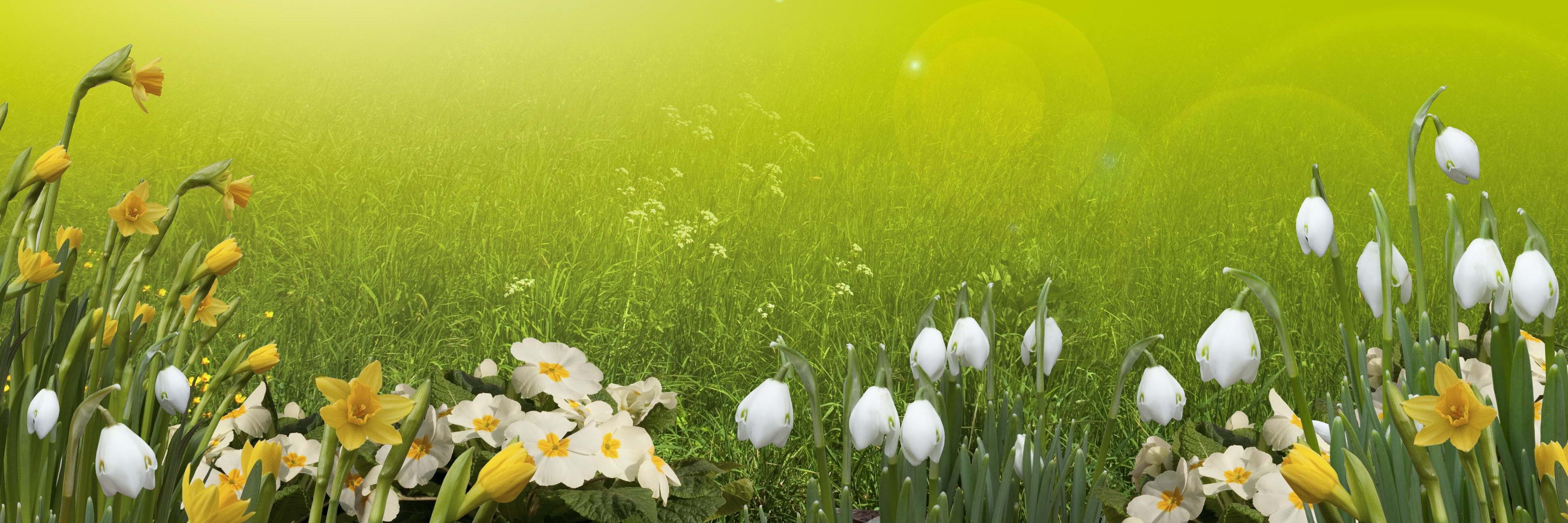 cryspitaa's profile banner image