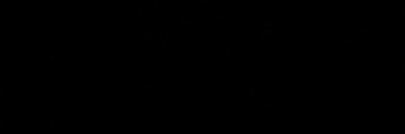 s banner