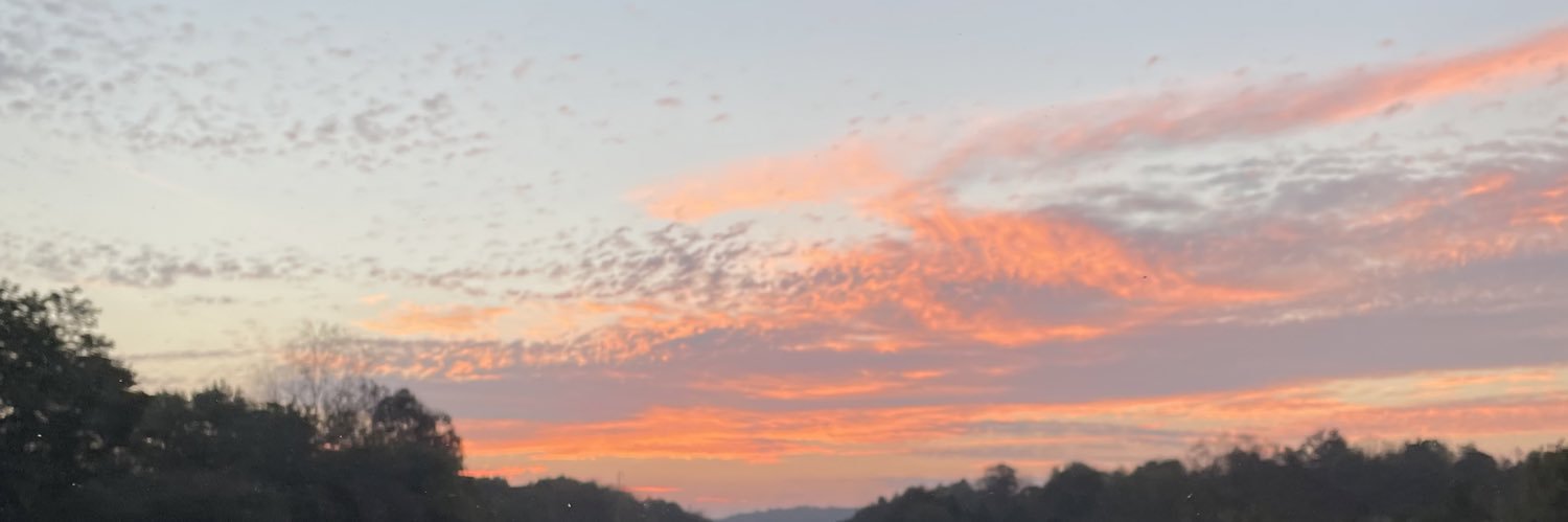 BDadich1's profile banner image